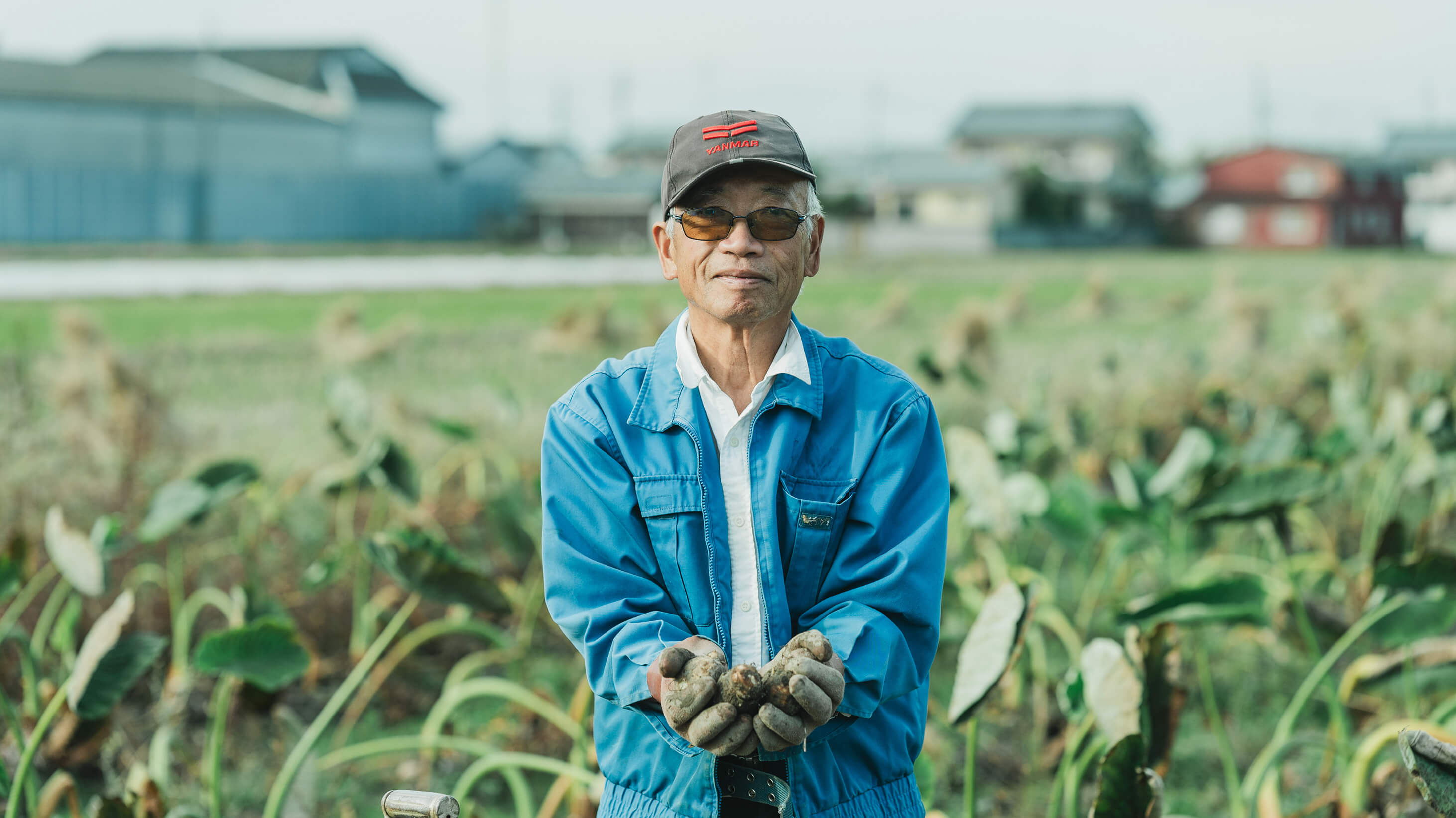 畑で手を動かす人の手元
