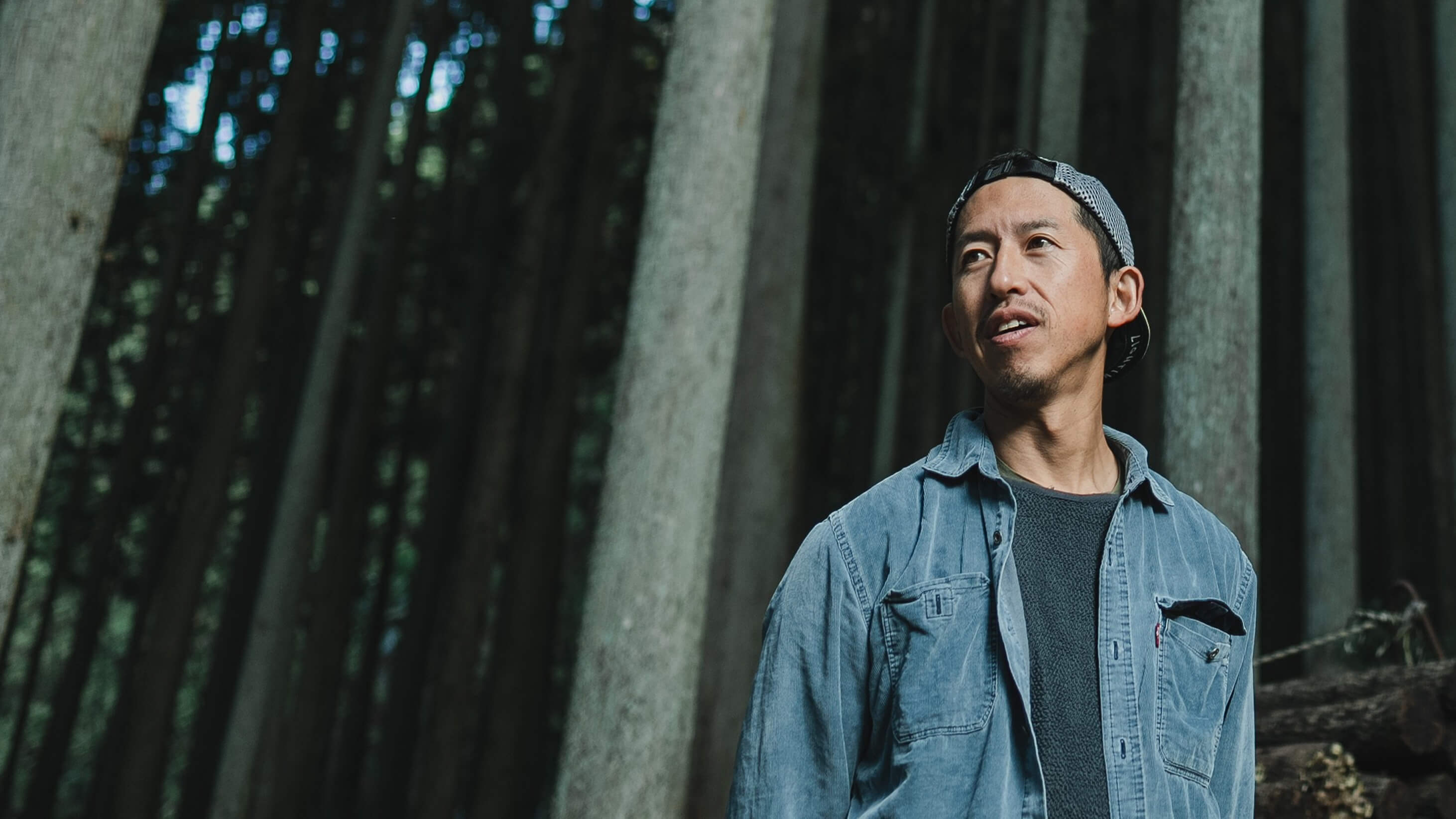 畑で手を動かす人の手元