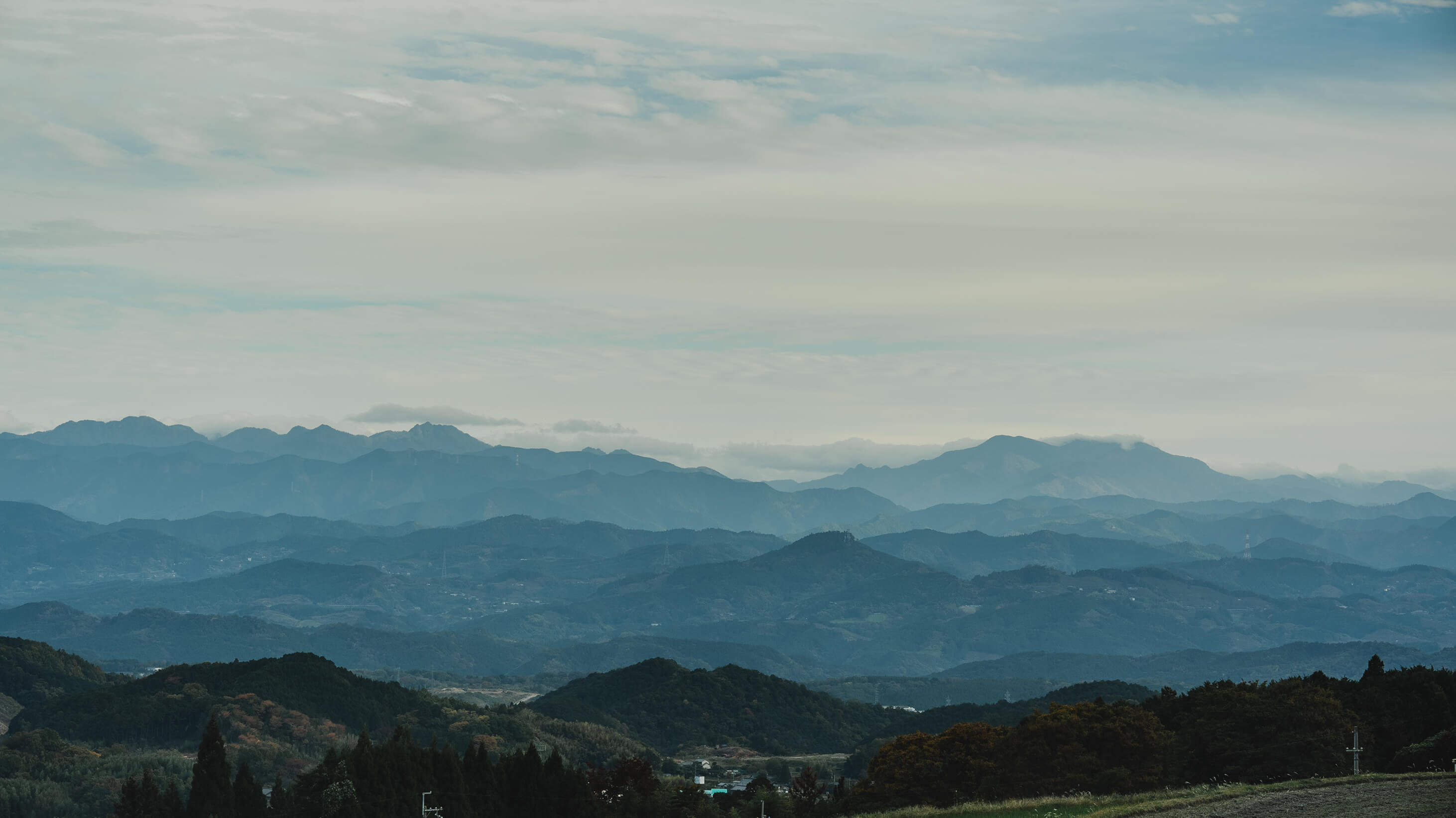 畑で手を動かす人の手元